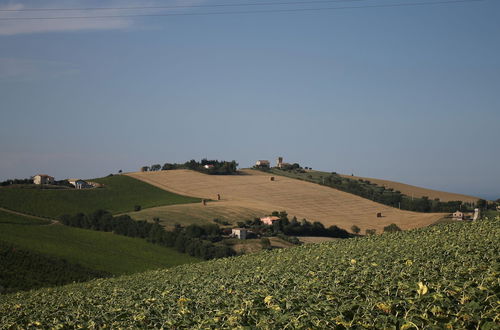 Photo 30 - La Viola e il Sole