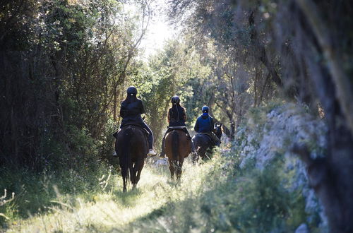 Photo 16 - Agriturismo Pantalica Ranch