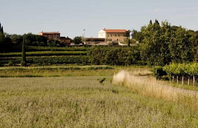 Agriturismo Panorama - Foto 42