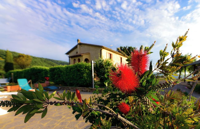 Agriturismo Le Casaline - Foto 6