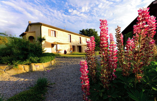 Agriturismo Le Casaline - Foto 4