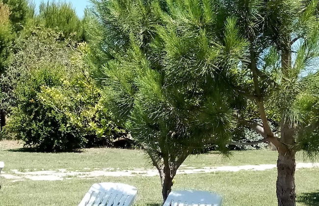 Tenuta Gli Agrumi del Salento - Foto 19