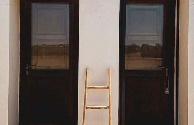 Tenuta Gli Agrumi del Salento - Foto 24