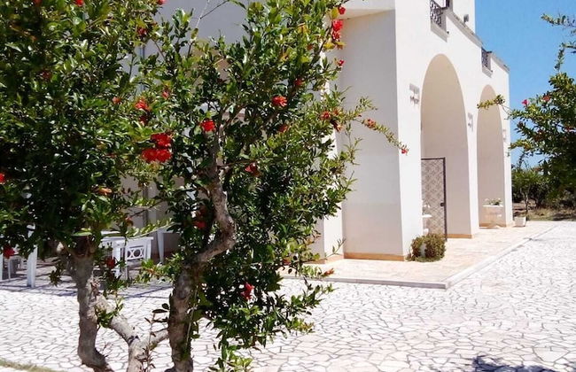 Tenuta Gli Agrumi del Salento - Foto 14