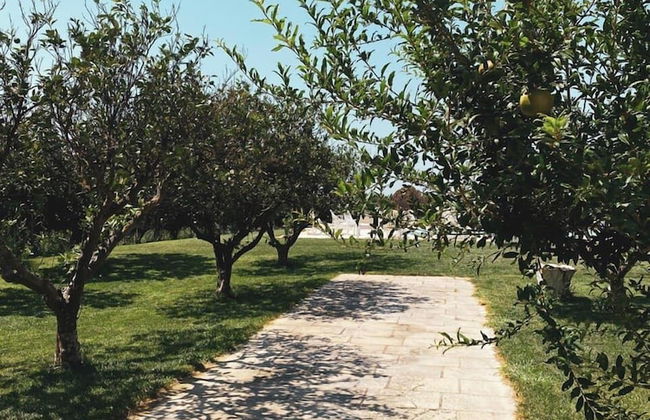Tenuta Gli Agrumi del Salento - Foto 15