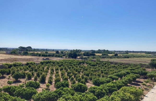 Tenuta Gli Agrumi del Salento - Foto 18