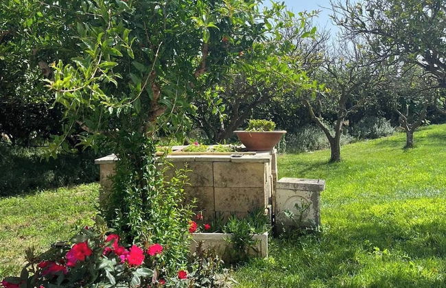 Tenuta Gli Agrumi del Salento - Foto 17