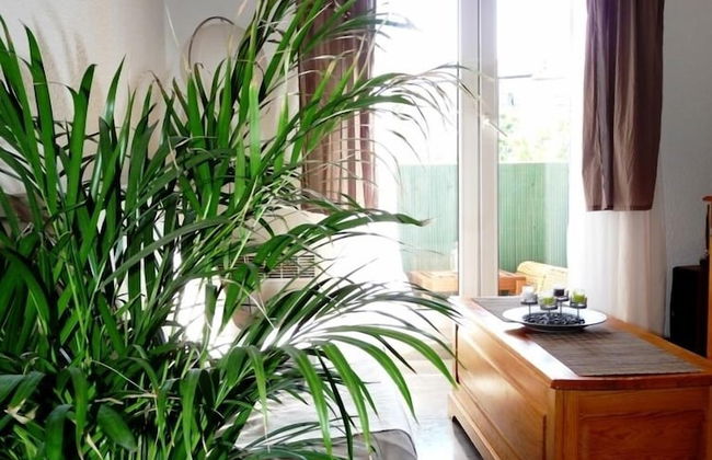 ABITEL - Le Clos des 3 Graces - Foto 12