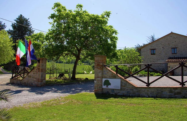 Holiday Home in Pietrafitta Near Lake Trasimeno - Foto 34