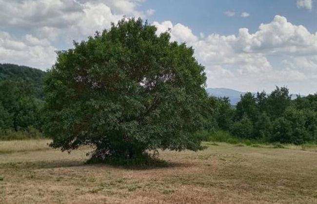 Holiday Home in Pietrafitta Near Lake Trasimeno - Foto 35