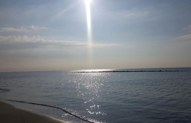 Il Mare di Roma - Foto 52