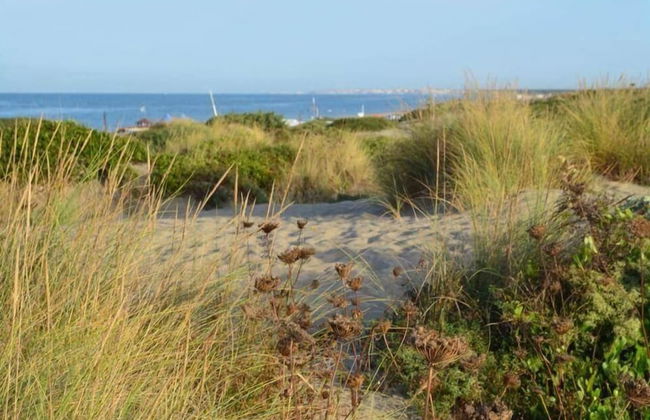 Il Mare di Roma - Foto 46