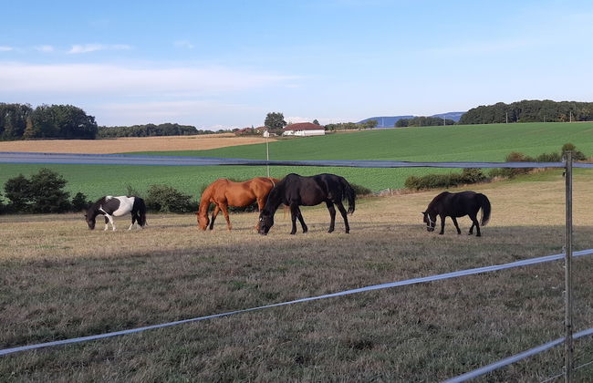 Gîtes Domaine de la Rochère - Foto 48