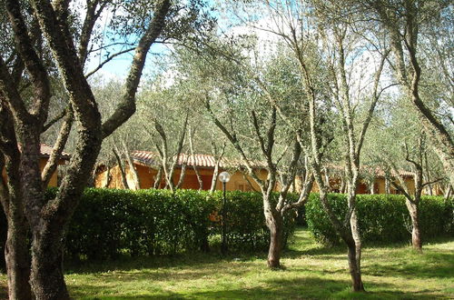 Photo 23 - Lu Podere