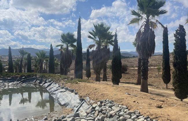 Wine country In Valle de Guadalupe - Foto 19