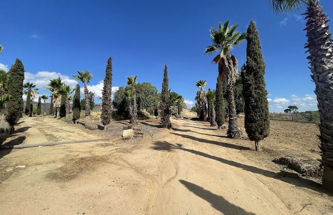 Wine country In Valle de Guadalupe - Foto 17