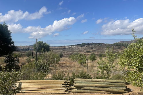 Photo 20 - Wine country In Valle de Guadalupe