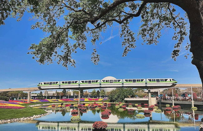 1301 Flamingo Cove at Tuscana - Foto 51