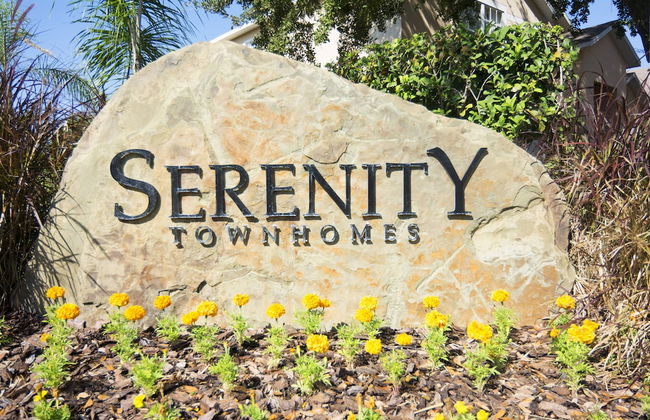 Serenity at Dreams Resort - Foto 4