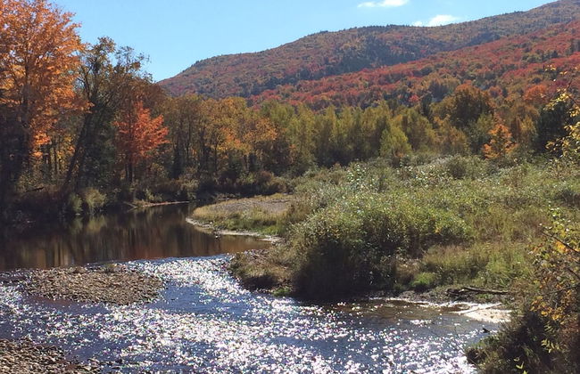 Moose Lodge and Cabins by Bretton Woods Vacations - Foto 1