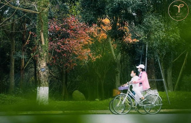 Armin Homes Studio Haven Park Ecopark - Foto 17