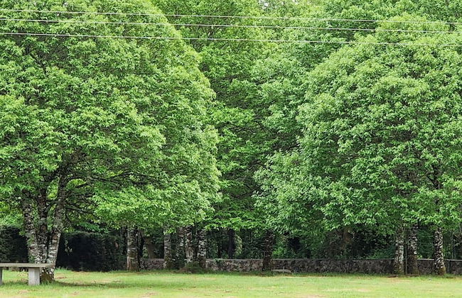 Finca La Cuevona de Guitiriz - Foto 65