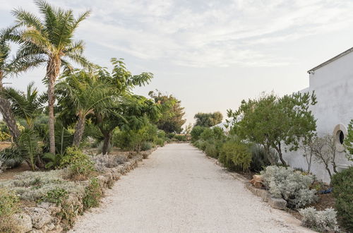 Foto 47 - masseria gorgognolo