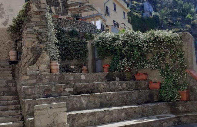 Il Sogno di Beatrice - Foto 31