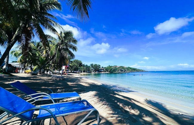 pent-house frente al mar - Photo 13