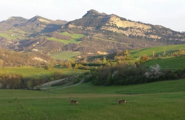 relais Cà del rio - Foto 61