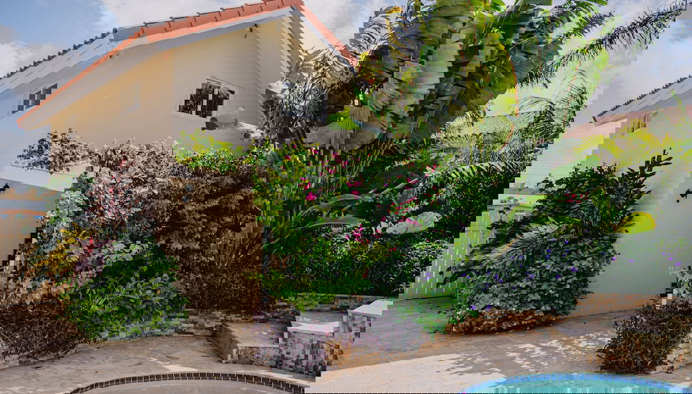 Imagem principal