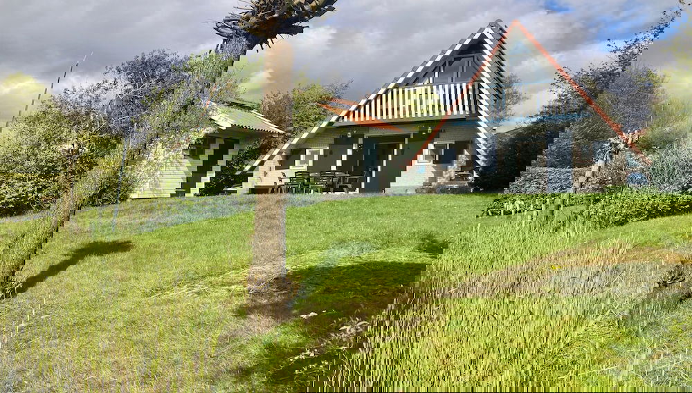 Imagem principal