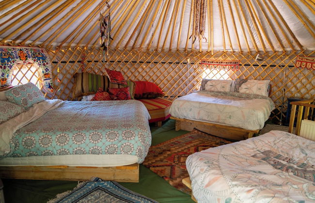 Hapus Yurt - Two Beautiful Yurts and Barn Cottage - Foto 12