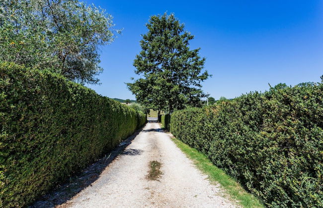 Scenic Apartment in Casole D'elsa With Pool - Photo 8