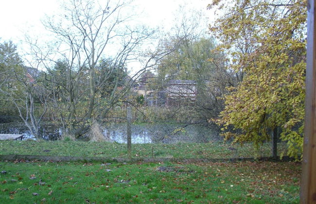 Bungalow Borgerende Nahe Strand & Reiten - Foto 35
