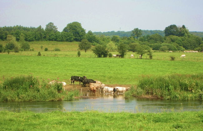 Villa With Private Pool In Blaregnies - Foto 37
