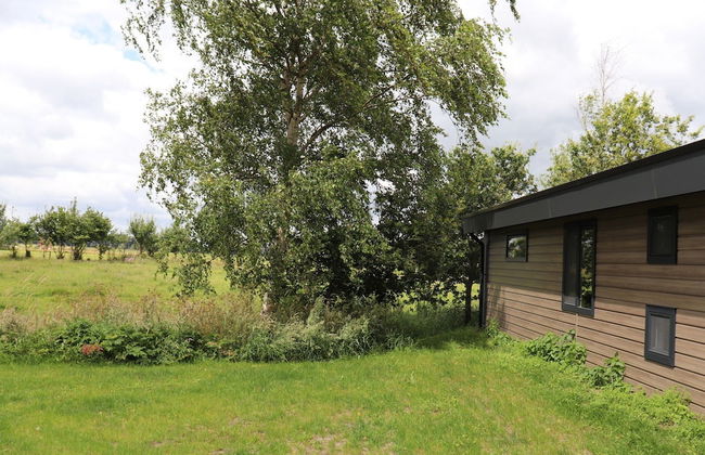 Chalet in Blesdijke Near Weerribben Park - Foto 32