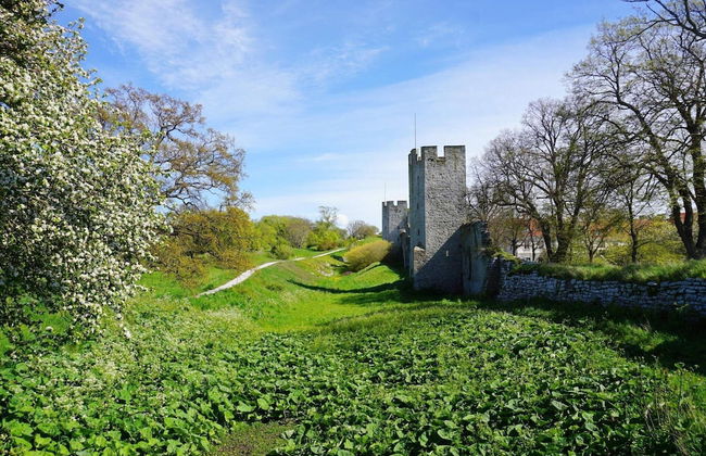5 Star Holiday Home in Visby - Foto 27