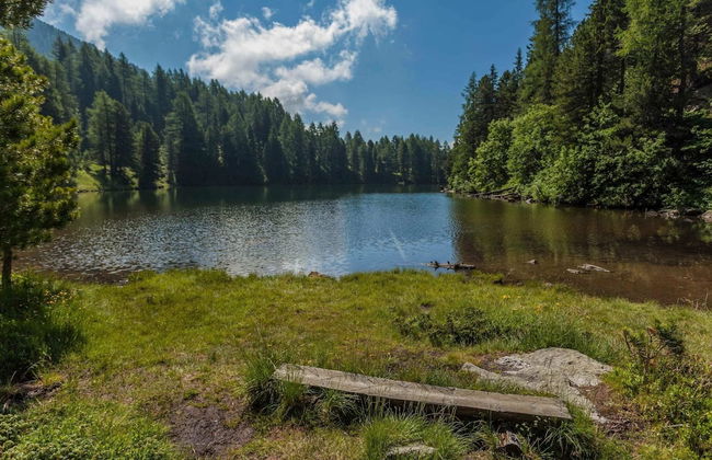 Casa de 5 quartos em Stadl-Predlitz com jardim e sauna - Foto 33