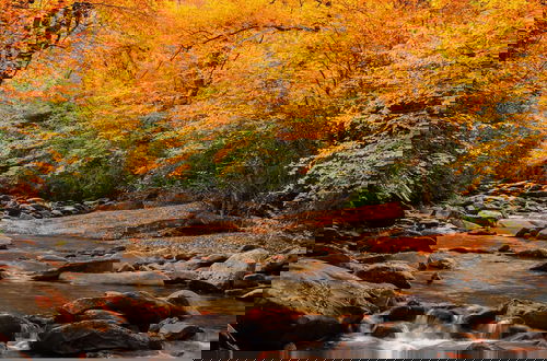 Photo 53 - Peace Serenity Relaxation in the Smokies