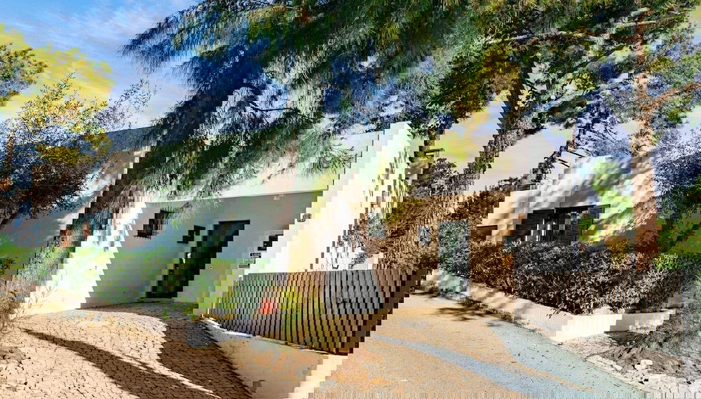 Imagem principal