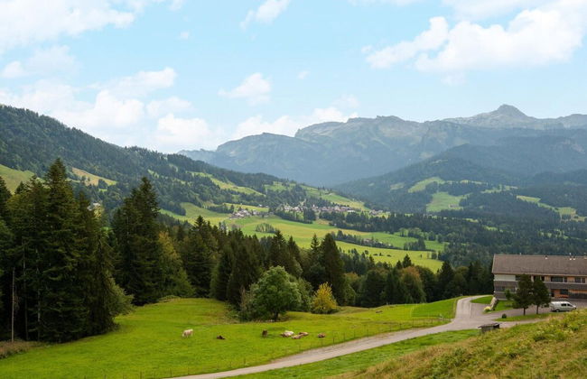 Dog-friendly Chalet in Bregenzerwald - Foto 24