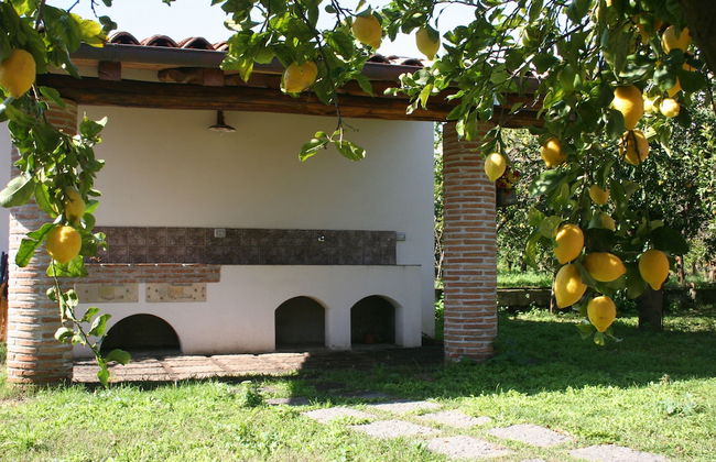 Agriturismo Galea - Foto 44