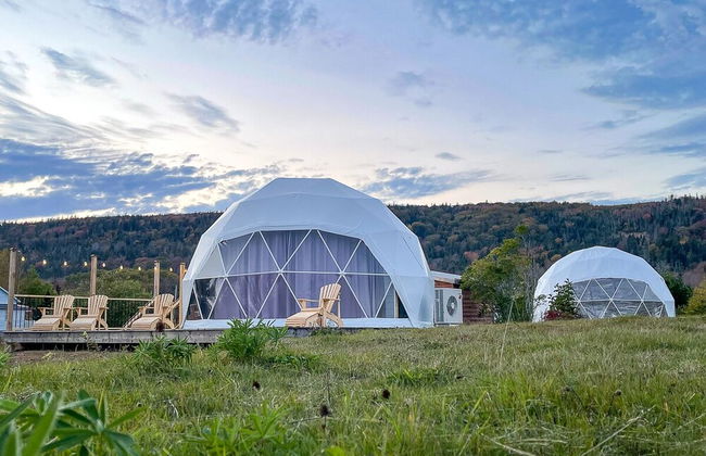 Port Wade Glamping Domes - Foto 27
