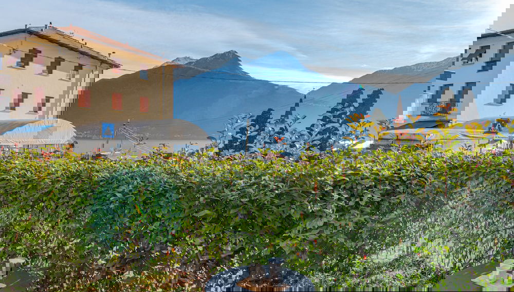 Image principale