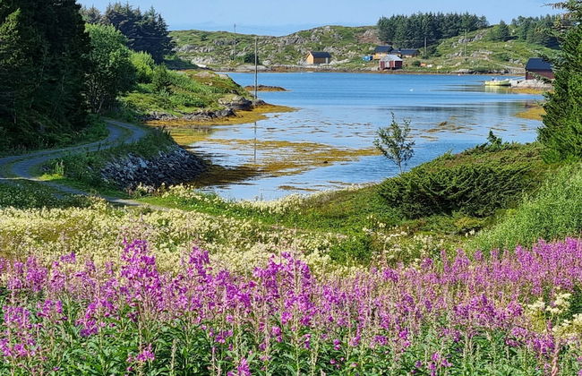 Vollvaagen Apartments Smøla - Foto 22