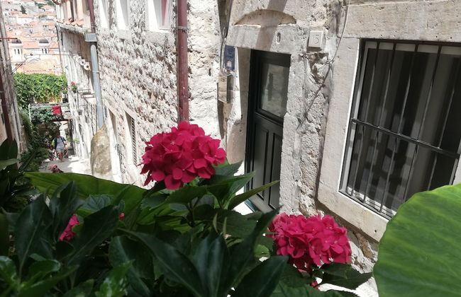 Apartment Dubrovnik-Center - Foto 1