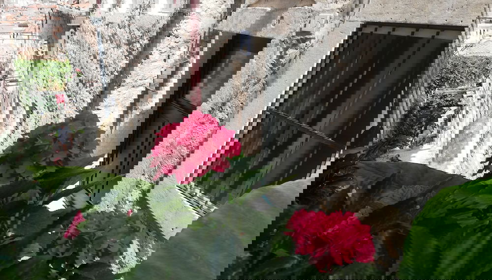 Imagem principal