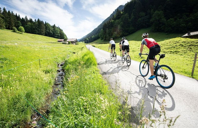Alpage Immo Location Service - Foto 41