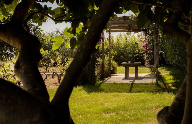 Casale alle Vigne - Foto 38